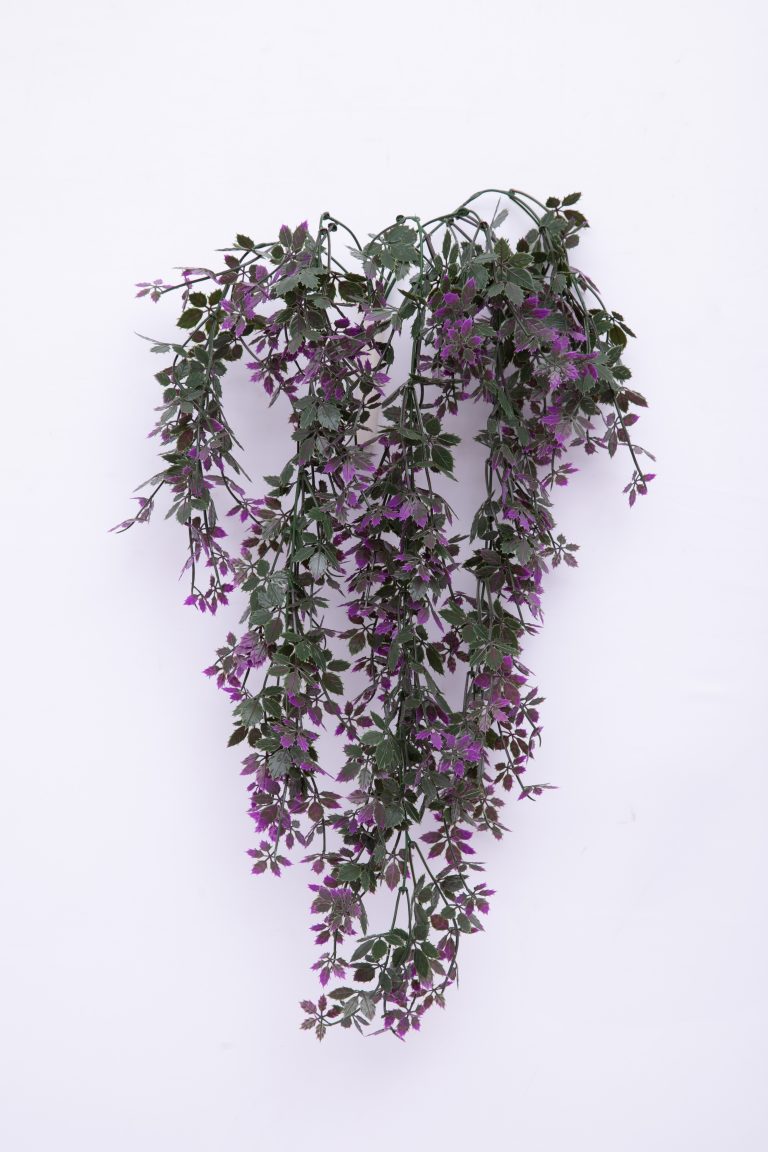 image10