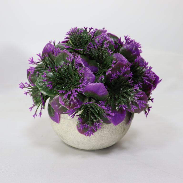 image10