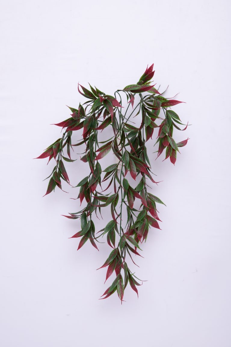 image9